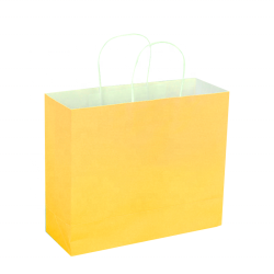 Custom Print Kraft Paper Shopping Gift Bag with Custom Logo